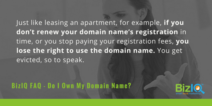 Do I own my domain name?